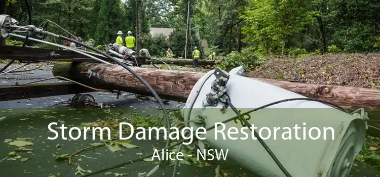 Storm Damage Restoration Alice - NSW