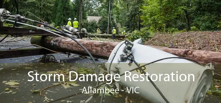 Storm Damage Restoration Allambee - VIC