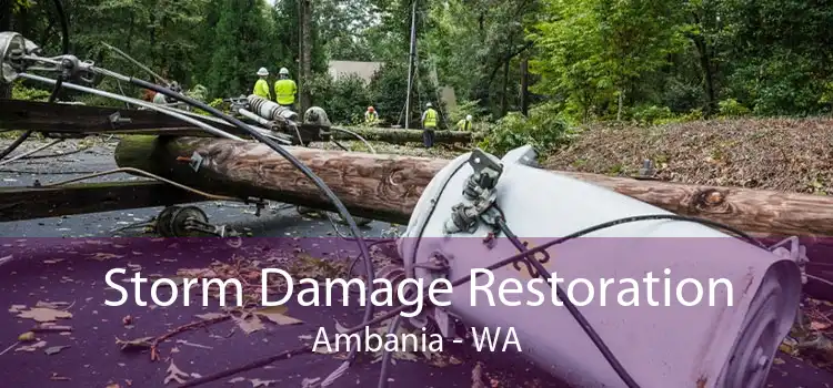 Storm Damage Restoration Ambania - WA