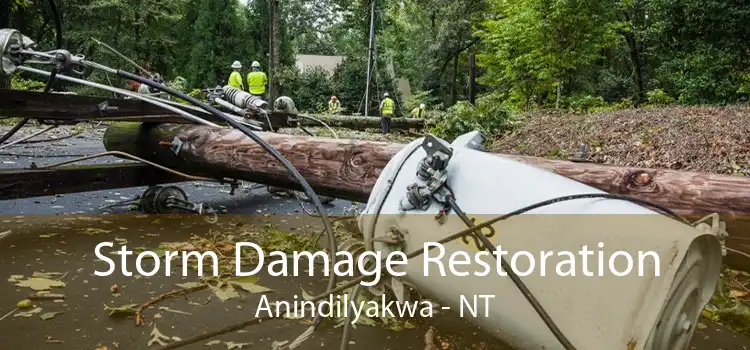 Storm Damage Restoration Anindilyakwa - NT