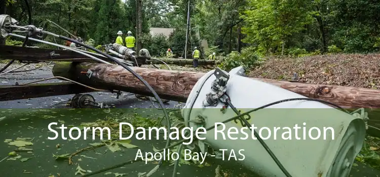 Storm Damage Restoration Apollo Bay - TAS