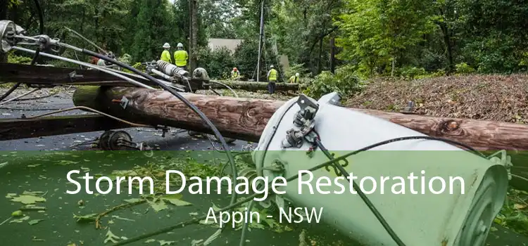 Storm Damage Restoration Appin - NSW