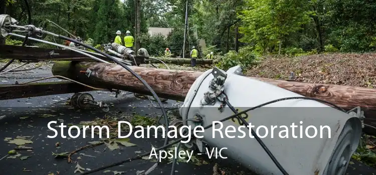 Storm Damage Restoration Apsley - VIC