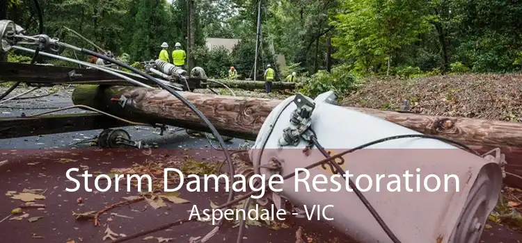 Storm Damage Restoration Aspendale - VIC