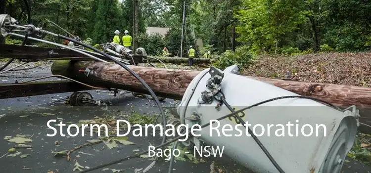 Storm Damage Restoration Bago - NSW