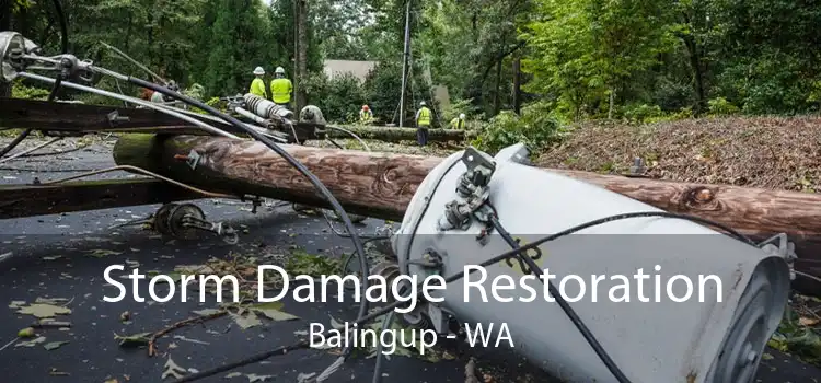 Storm Damage Restoration Balingup - WA