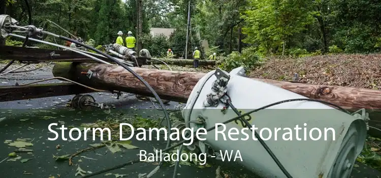 Storm Damage Restoration Balladong - WA