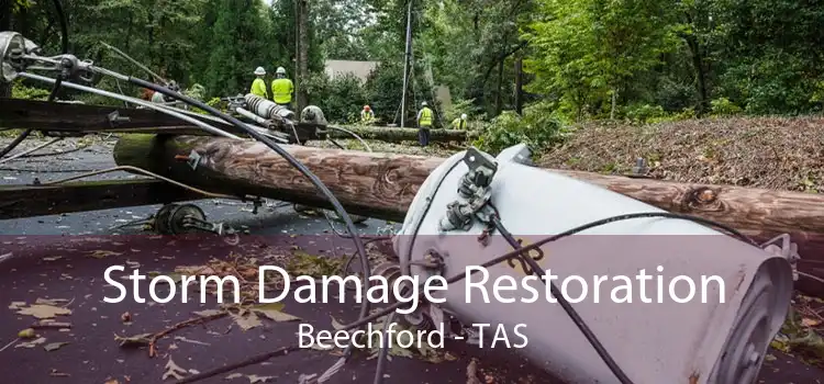 Storm Damage Restoration Beechford - TAS