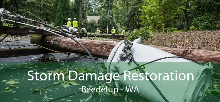 Storm Damage Restoration Beedelup - WA