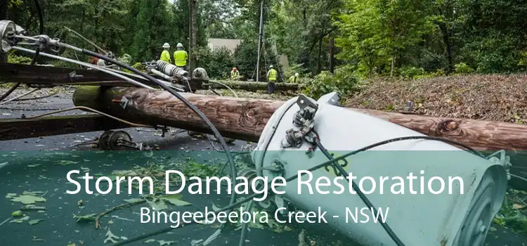 Storm Damage Restoration Bingeebeebra Creek - NSW