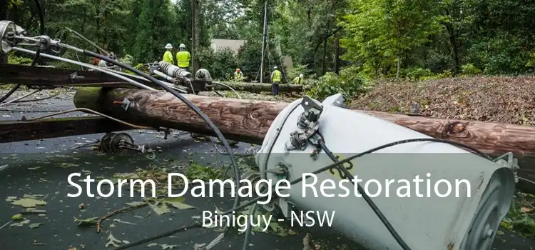 Storm Damage Restoration Biniguy - NSW