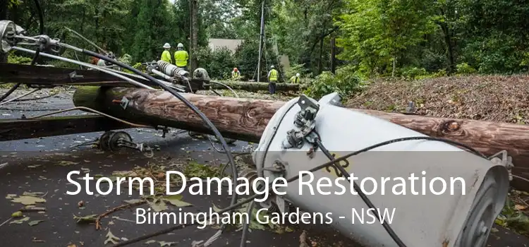 Storm Damage Restoration Birmingham Gardens - NSW