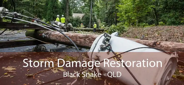 Storm Damage Restoration Black Snake - QLD