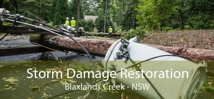 Storm Damage Restoration Blaxlands Creek - NSW