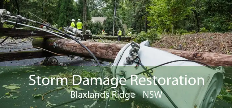 Storm Damage Restoration Blaxlands Ridge - NSW