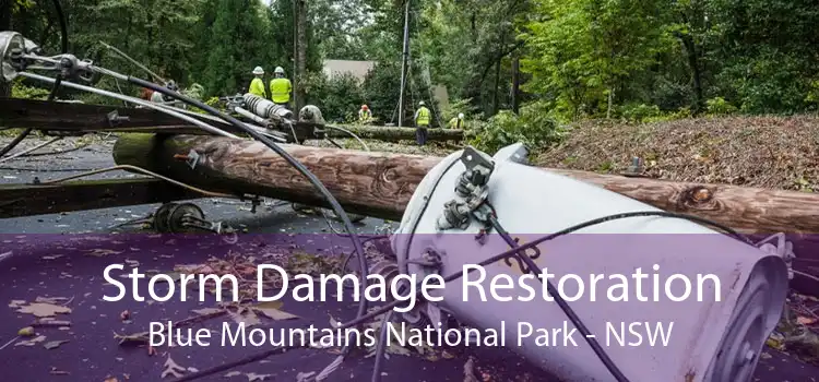 Storm Damage Restoration Blue Mountains National Park - NSW