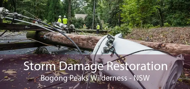 Storm Damage Restoration Bogong Peaks Wilderness - NSW