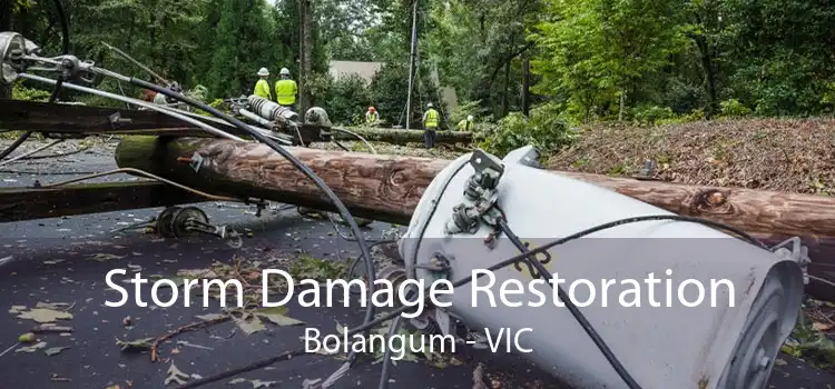 Storm Damage Restoration Bolangum - VIC