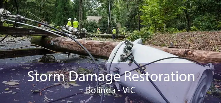 Storm Damage Restoration Bolinda - VIC