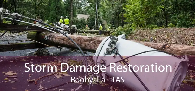Storm Damage Restoration Boobyalla - TAS