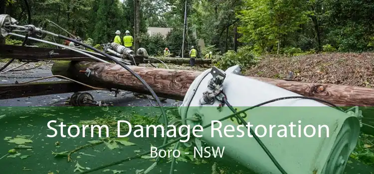 Storm Damage Restoration Boro - NSW