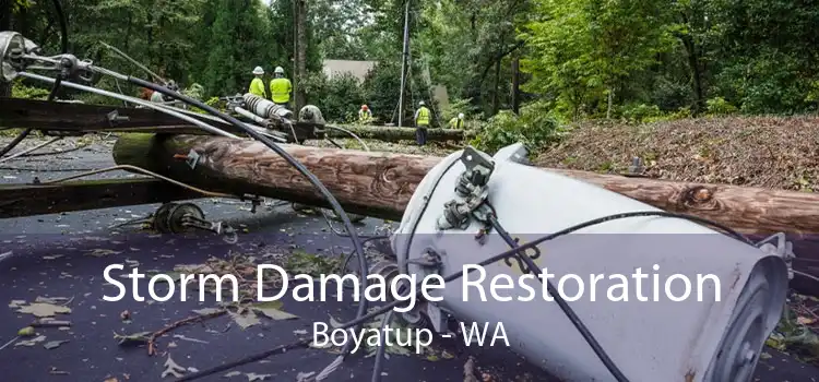 Storm Damage Restoration Boyatup - WA