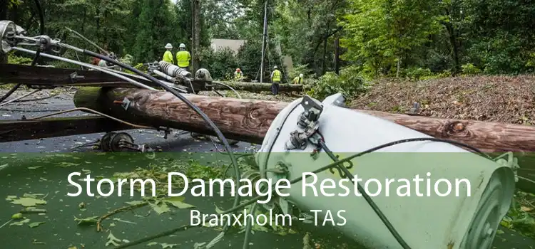 Storm Damage Restoration Branxholm - TAS