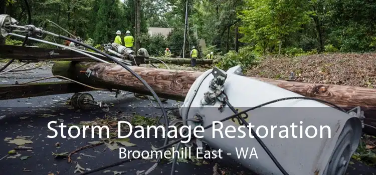 Storm Damage Restoration Broomehill East - WA