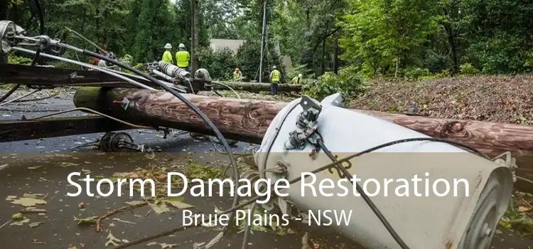 Storm Damage Restoration Bruie Plains - NSW