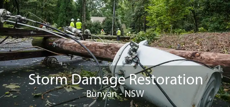 Storm Damage Restoration Bunyan - NSW