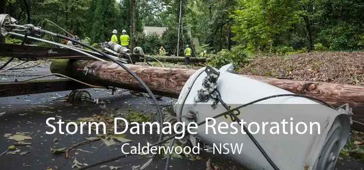 Storm Damage Restoration Calderwood - NSW