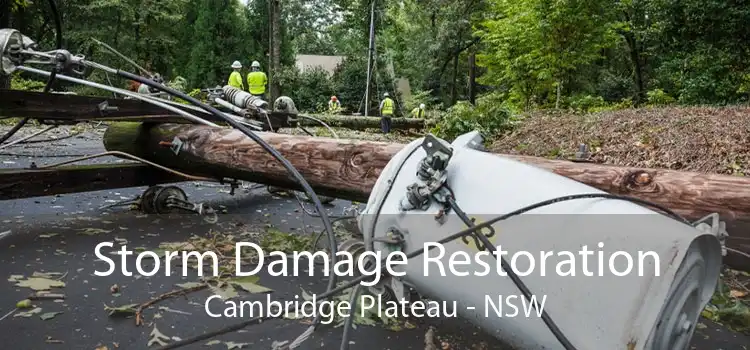 Storm Damage Restoration Cambridge Plateau - NSW