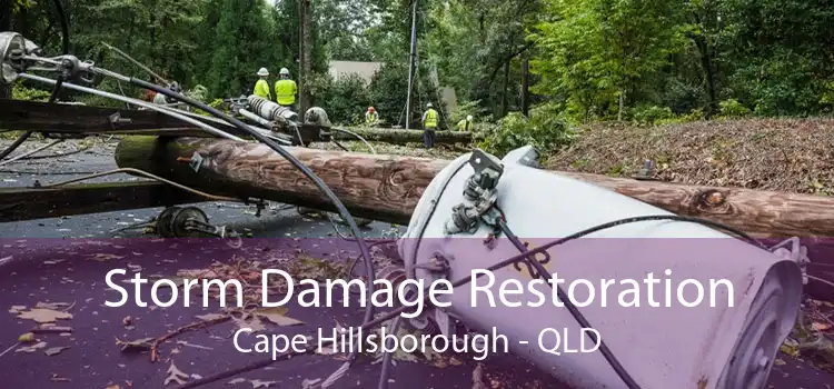 Storm Damage Restoration Cape Hillsborough - QLD