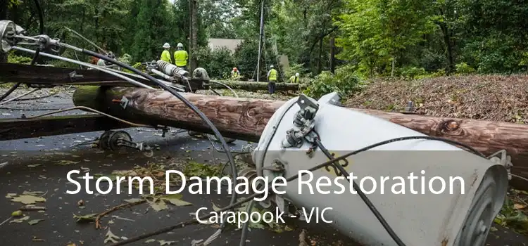 Storm Damage Restoration Carapook - VIC