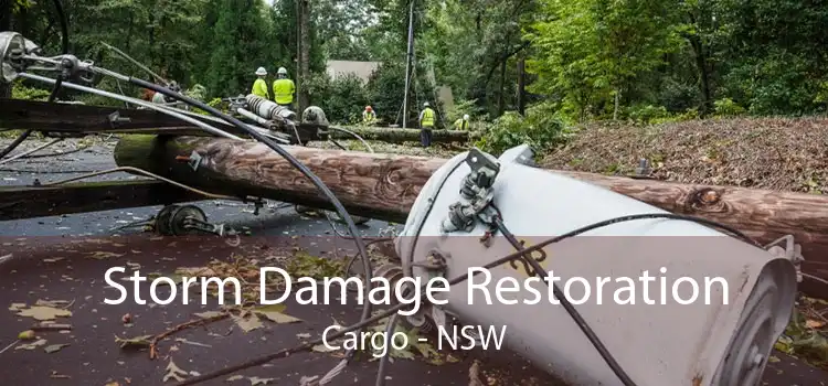 Storm Damage Restoration Cargo - NSW