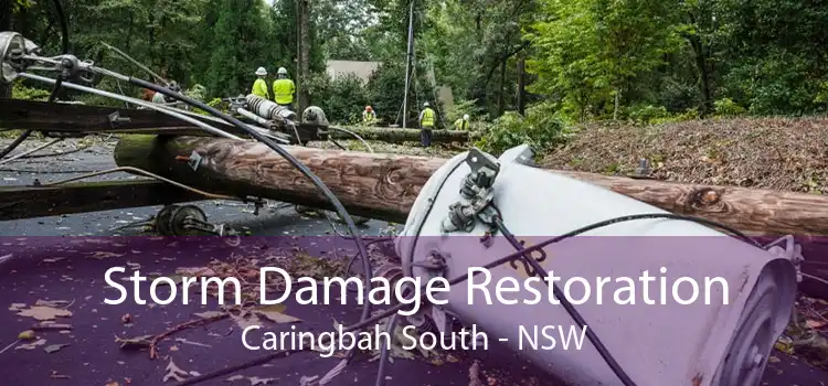 Storm Damage Restoration Caringbah South - NSW