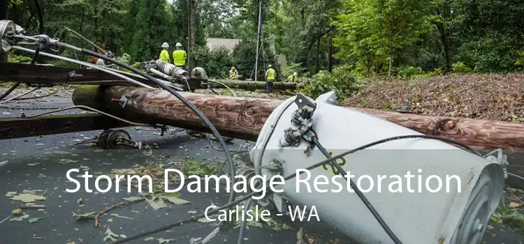 Storm Damage Restoration Carlisle - WA