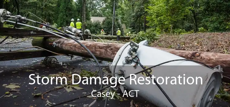 Storm Damage Restoration Casey - ACT