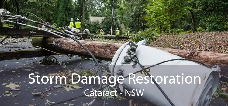 Storm Damage Restoration Cataract - NSW