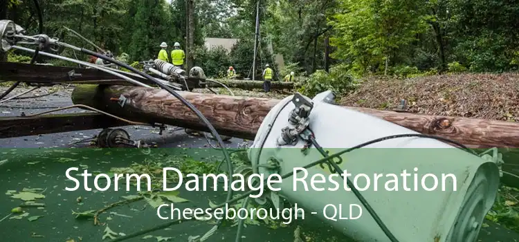 Storm Damage Restoration Cheeseborough - QLD