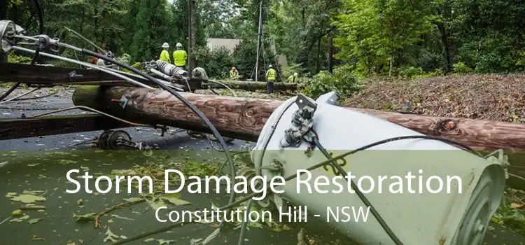 Storm Damage Restoration Constitution Hill - NSW