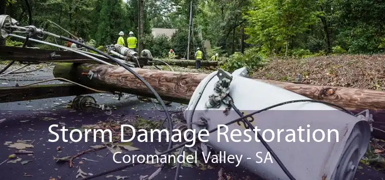 Storm Damage Restoration Coromandel Valley - SA