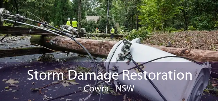 Storm Damage Restoration Cowra - NSW