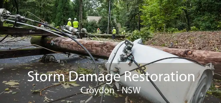 Storm Damage Restoration Croydon - NSW