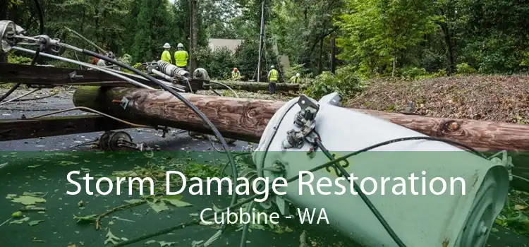 Storm Damage Restoration Cubbine - WA