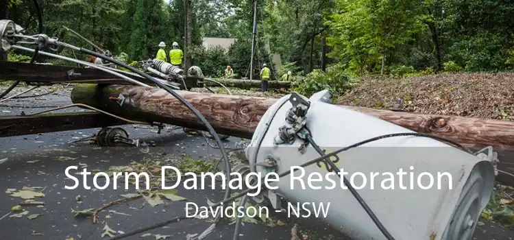 Storm Damage Restoration Davidson - NSW