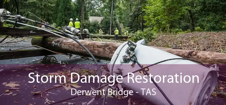 Storm Damage Restoration Derwent Bridge - TAS