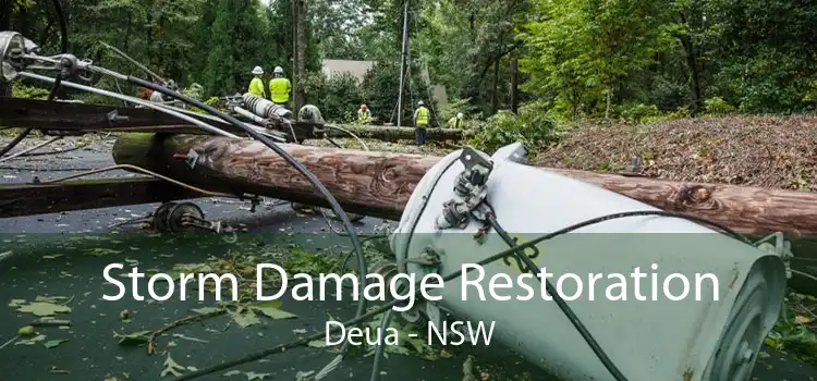 Storm Damage Restoration Deua - NSW