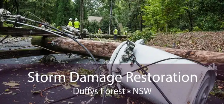 Storm Damage Restoration Duffys Forest - NSW