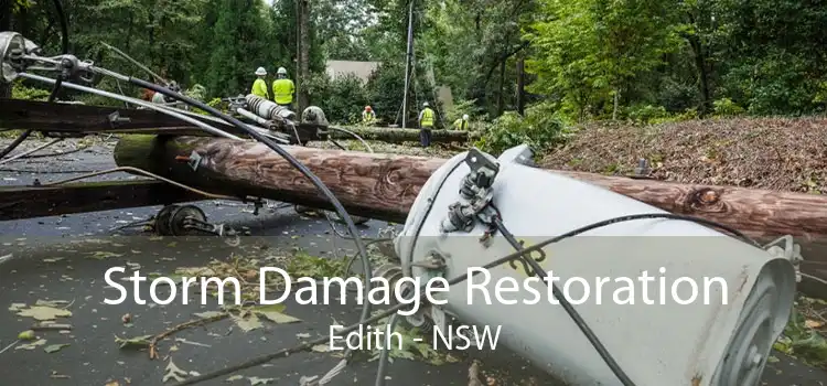 Storm Damage Restoration Edith - NSW